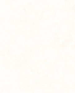 53504