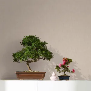 33327 - Botanica