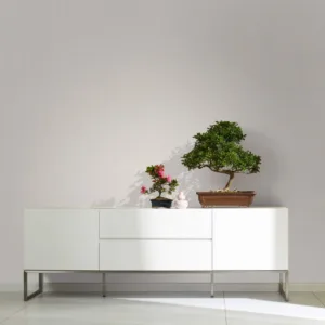 32220 - Modernista