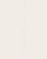 31393 - Surfaces 2