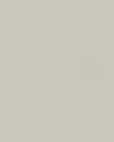31396 - Surfaces 2