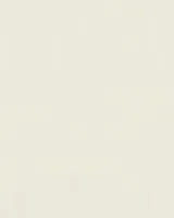 31398 - Surfaces 2