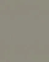 31399 - Surfaces 2