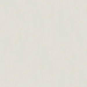 30076 - Surfaces 2