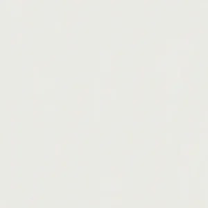 30092 - Surfaces 2