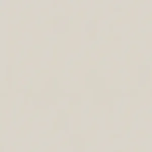 30094 - Surfaces 2