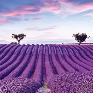 35643 - GLÖÖCKLER POMPÖÖS PROVENCE Fototapete