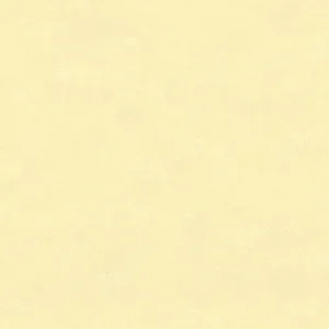 30128 - Bombay