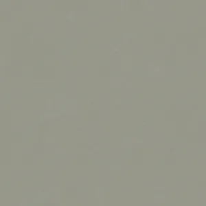 30133 - Bombay