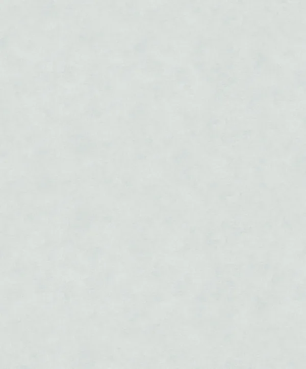 32410 - Shades