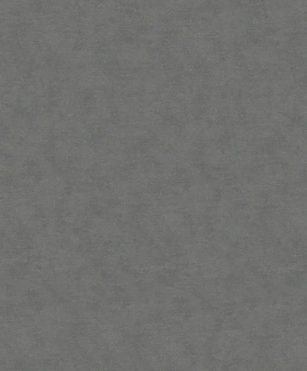 32420 - Shades