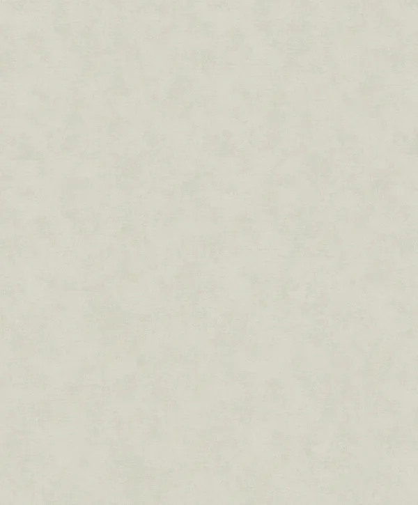 32422 - Shades