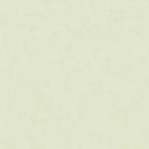 32423 - Shades