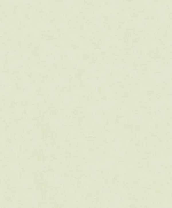 32423 - Shades