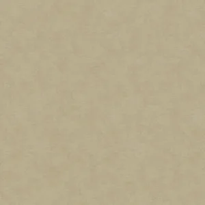 32425 - Shades