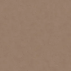 32431 - Shades