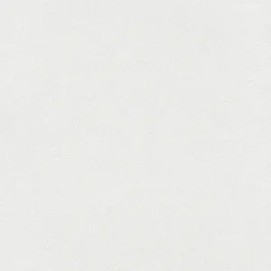 32501 - Dune