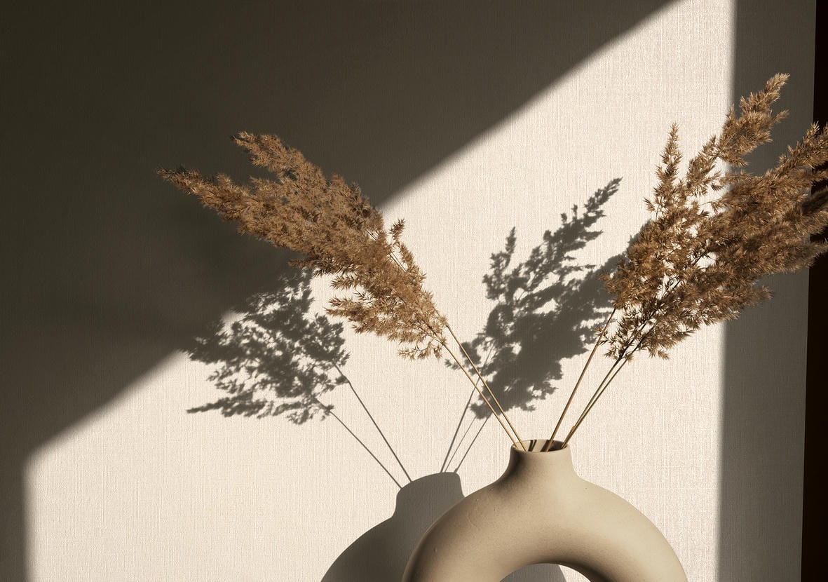 82433 - Oriana - Image 2